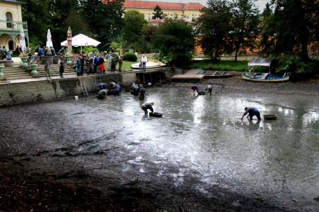 Podzamka 22.9.12 výlov 02