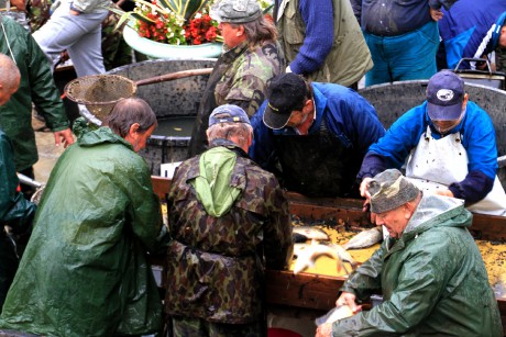 Podzamka 22.9.12 výlov 04
