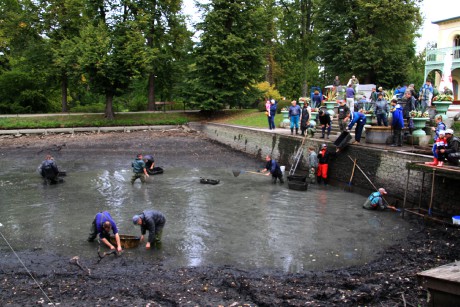 Podzamka 22.9.12 výlov 05