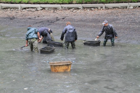Podzamka 22.9.12 výlov 06