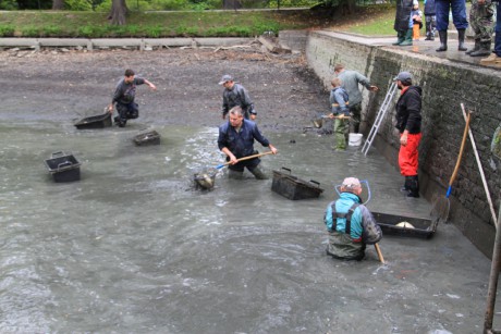 Podzamka 22.9.12 výlov 07