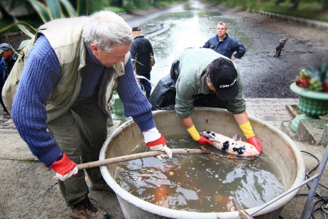 Podzamka 22.9.12 výlov 14