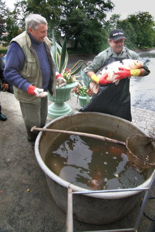 Podzamka 22.9.12 výlov 16