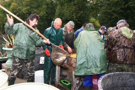 Podzamka 22.9.12 výlov 17