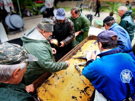 Podzamka 22.9.12 výlov 21