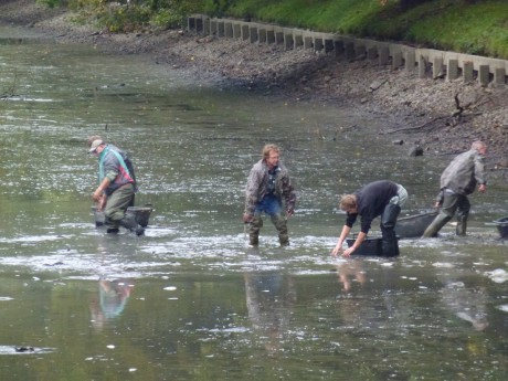 Výlov - Dlouhý rybník 2