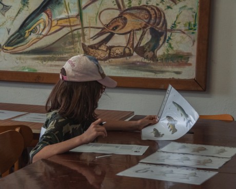 Závody mládeže 20_05